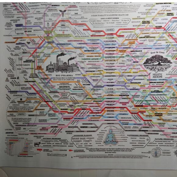 Holistic Medicine vs Big Pharma Flowchart Canvas Print (Unframed, 18x12") - Picture 2 of 4